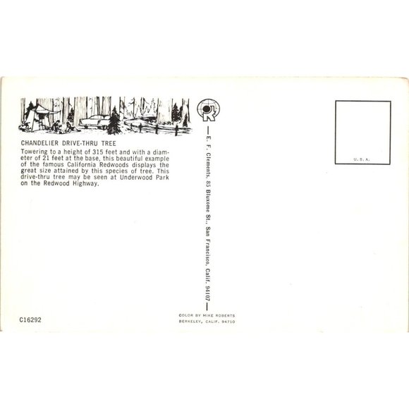 Chandelier Drive Thru Tree Postcard Travel Souvenir Unposted California Redwood - Picture 2 of 2